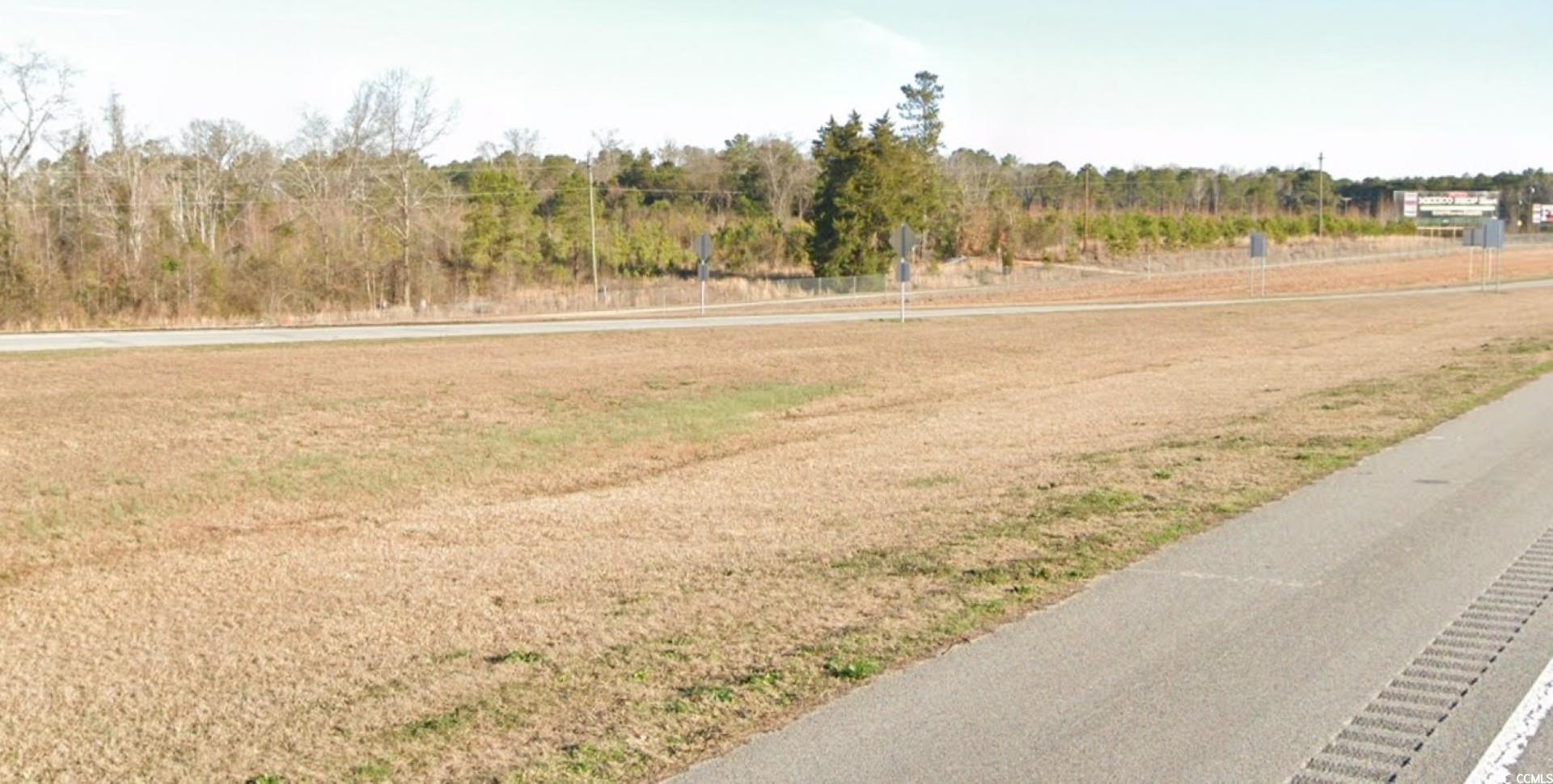 Tbd West Country Club Road Hamer, SC 29547 - Photo 6 of 10