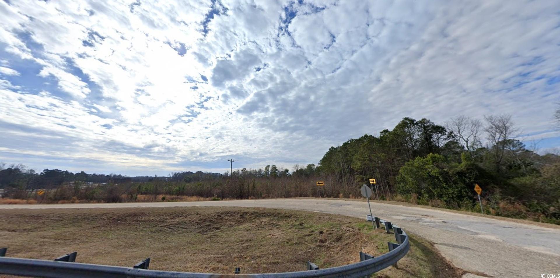 Tbd West Country Club Road Hamer, SC 29547 - Photo 8 of 10