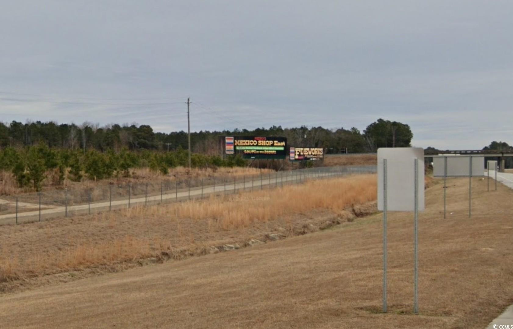 Tbd West Country Club Road Hamer, SC 29547 - Photo 10 of 10