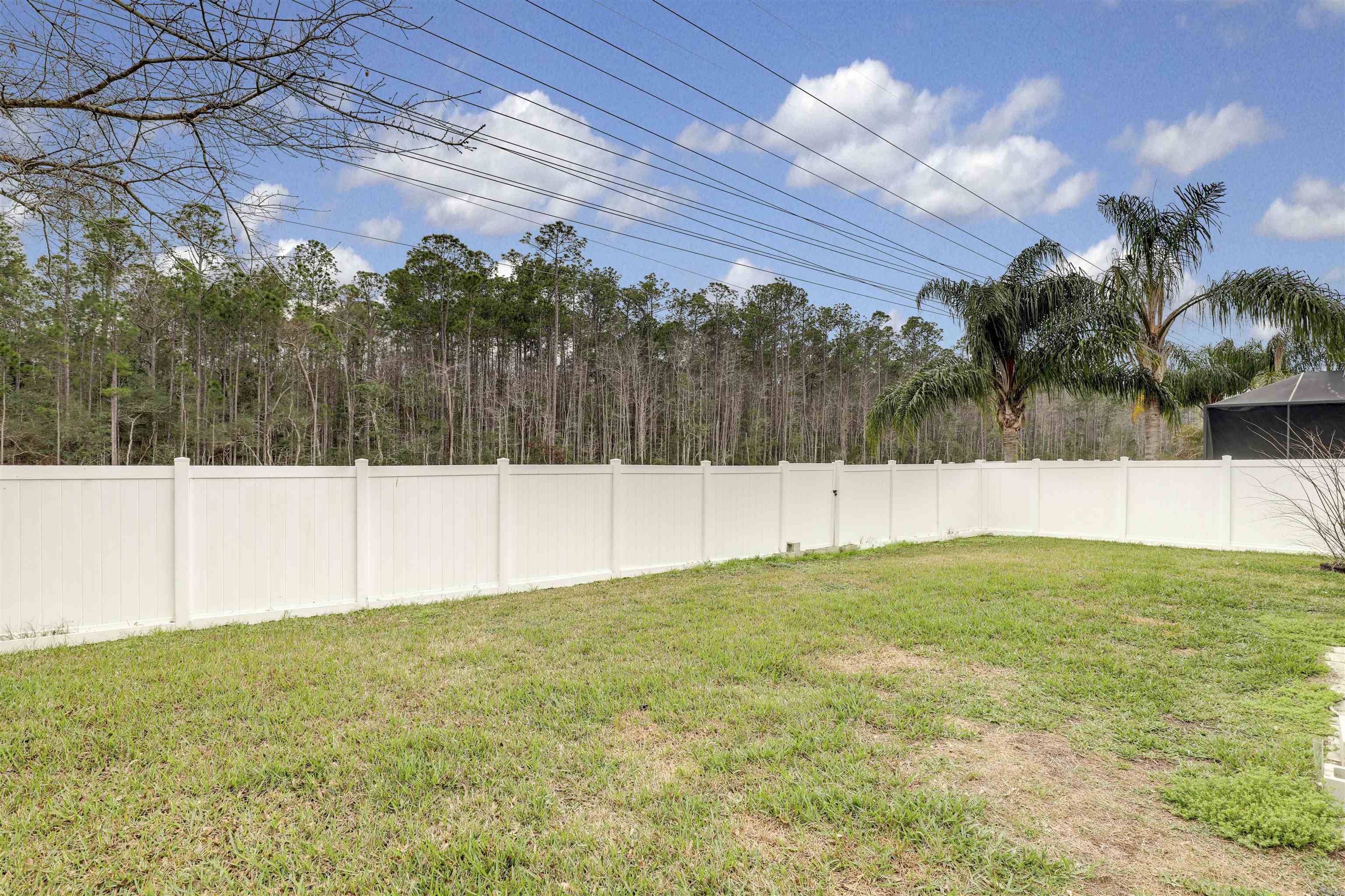 200 Ellsworth Circle St. Johns, FL 32259 - Photo 38 of 58 a view of yard with large trees