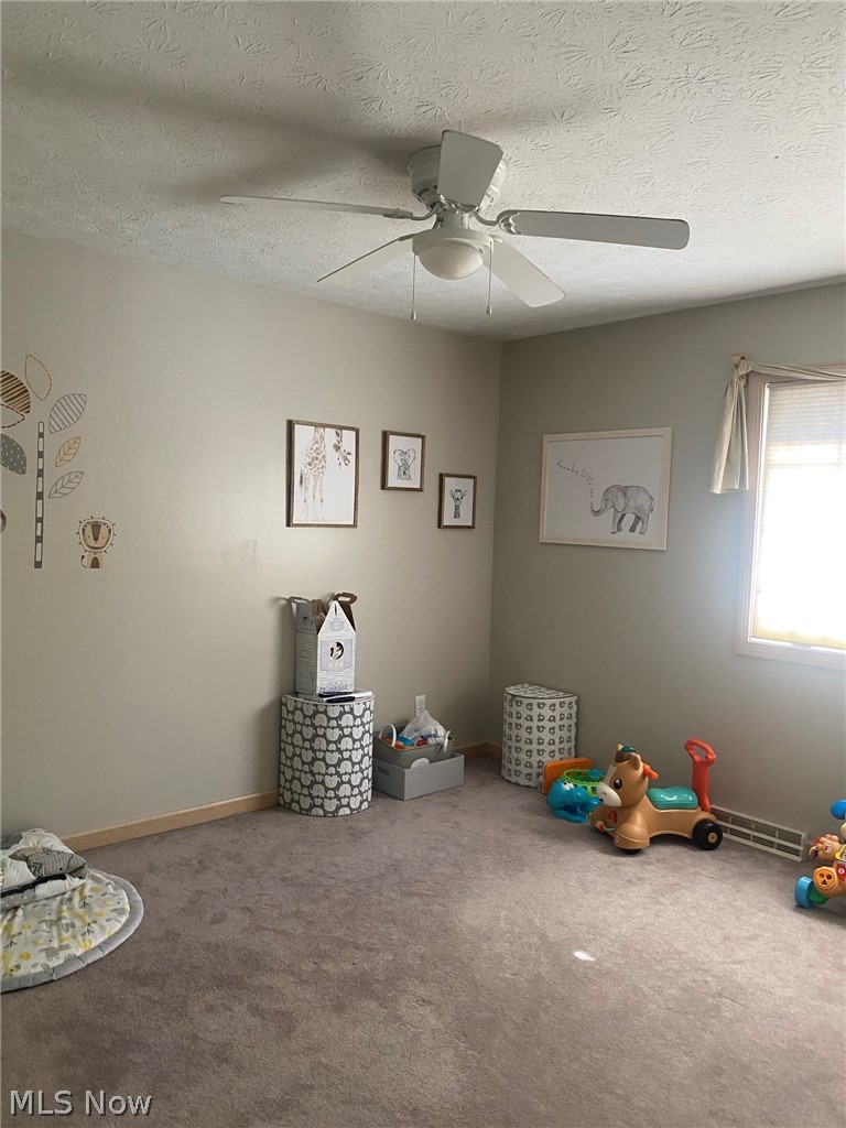 585 Ruth Street Geneva, OH 44041 - Photo 25 of 31 Gallery Image 25