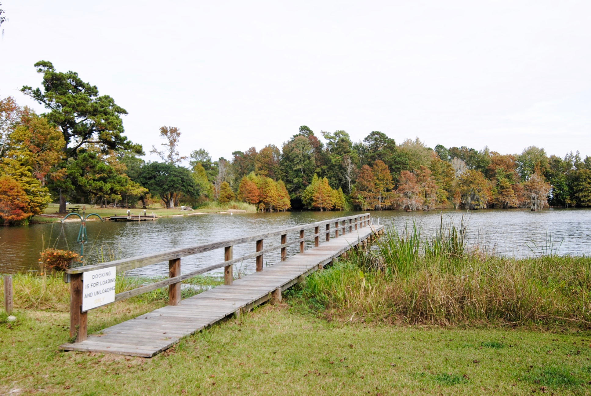 1125 Longpoint Road Cross, SC 29436 - Photo 7 of 7 _DSC0529