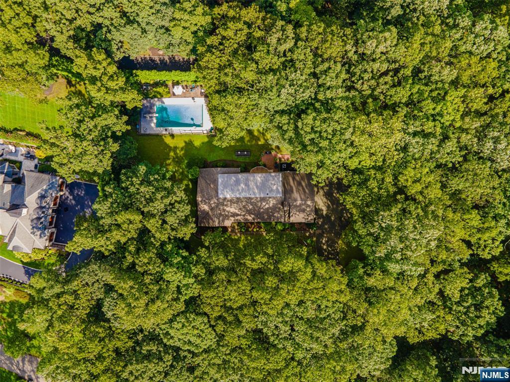 223 Terrace Road Franklin Lakes, NJ 07417 - Photo 33 of 35 a picture of a tree