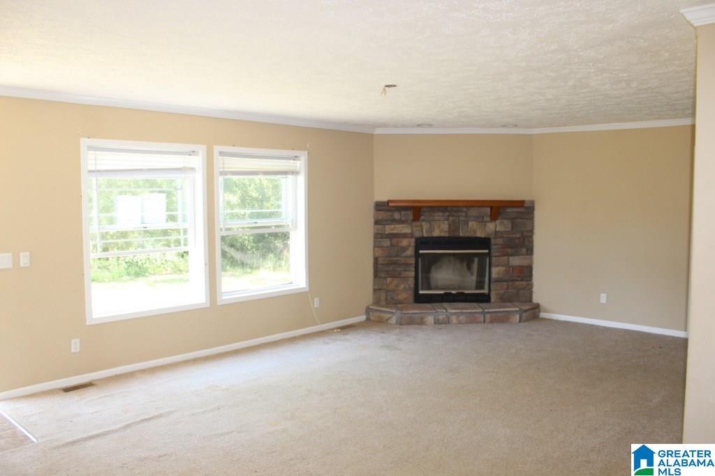 1303 Tipton Road Lincoln, AL 35096 - Photo 2 of 27