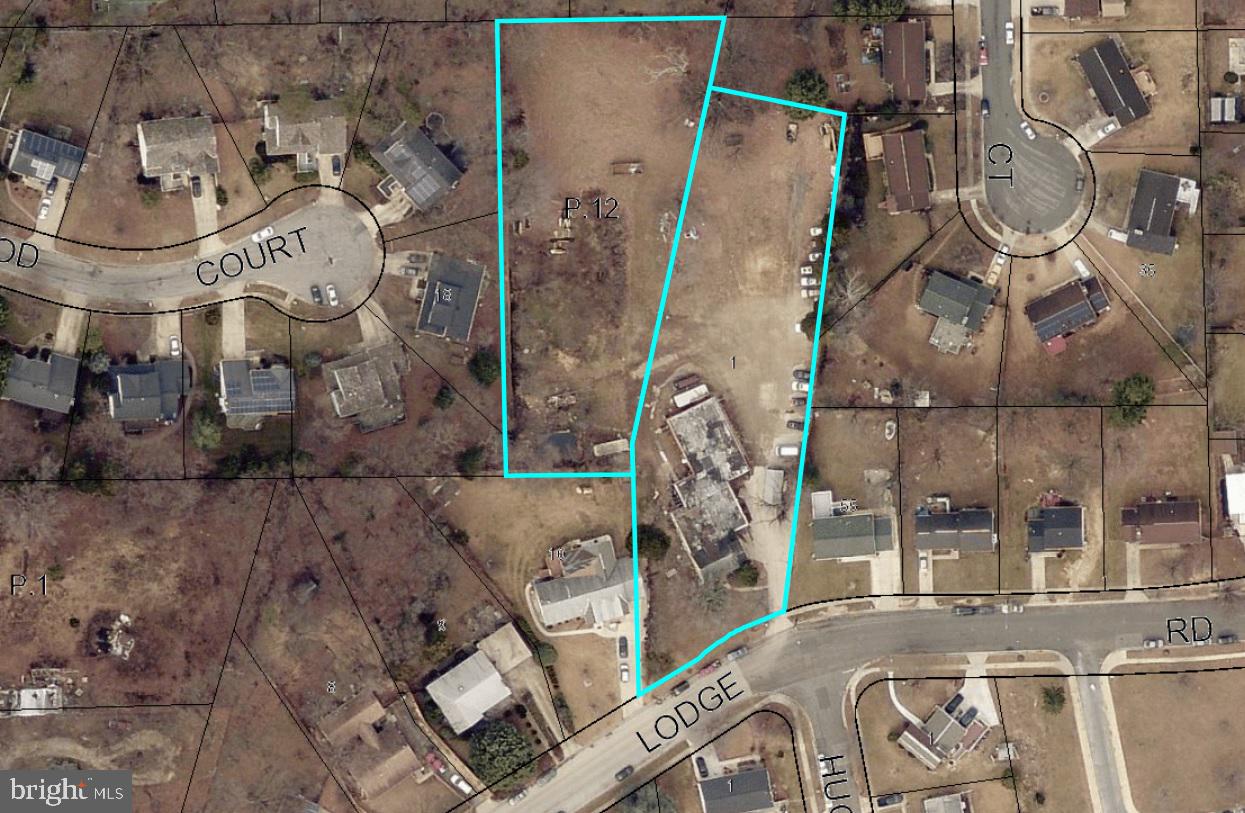 3000 Buck Lodge Road Adelphi, MD 20783 - Photo 7 of 8
