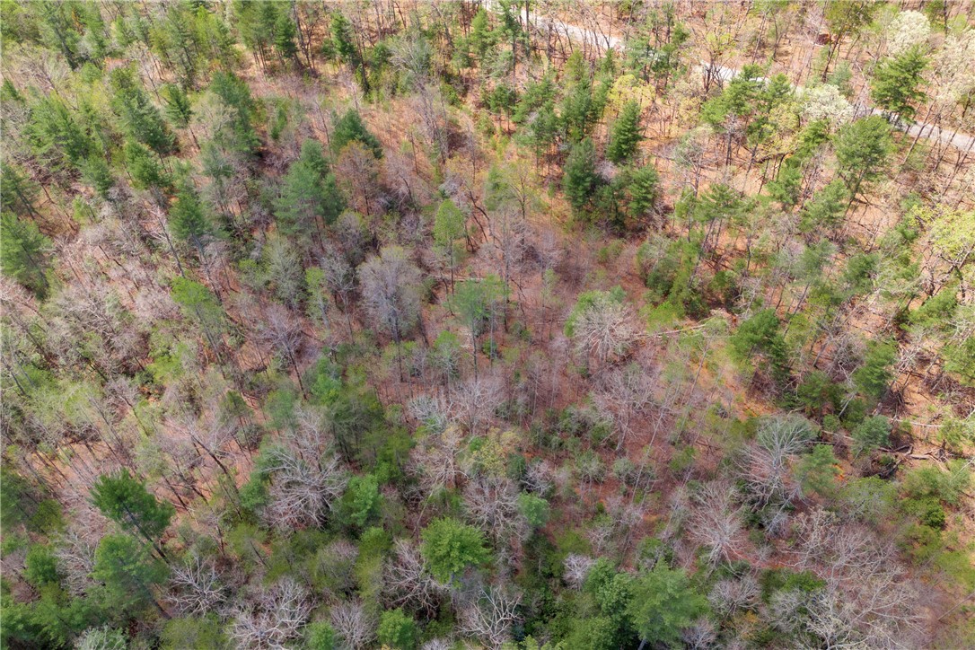 110 Mountain Rest Lake Road Mountain Rest, SC 29664 - Photo 15 of 28