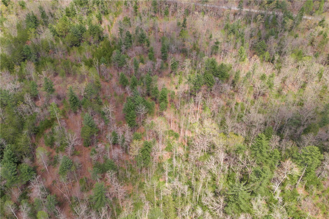 110 Mountain Rest Lake Road Mountain Rest, SC 29664 - Photo 18 of 28