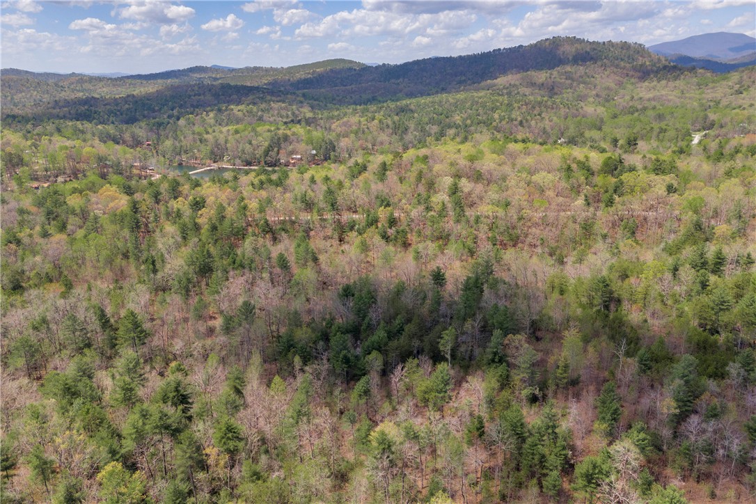 110 Mountain Rest Lake Road Mountain Rest, SC 29664 - Photo 20 of 28