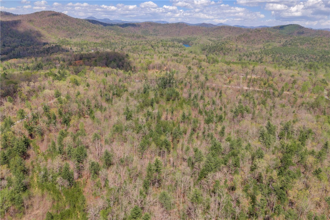 110 Mountain Rest Lake Road Mountain Rest, SC 29664 - Photo 21 of 28