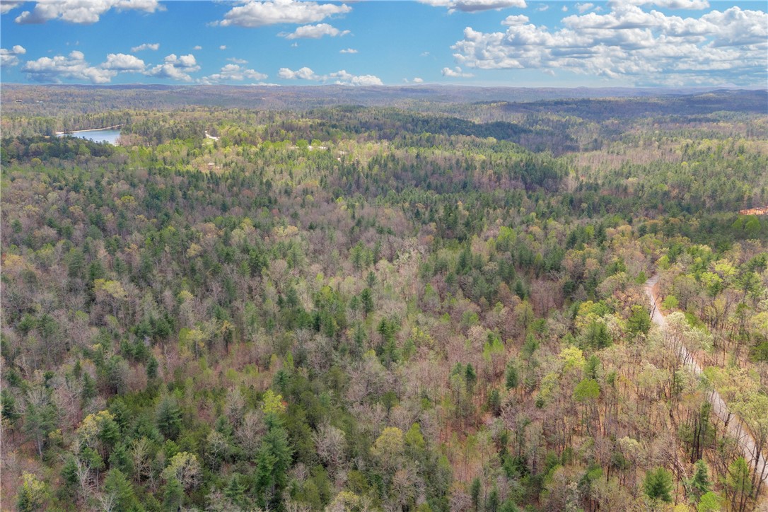 110 Mountain Rest Lake Road Mountain Rest, SC 29664 - Photo 22 of 28