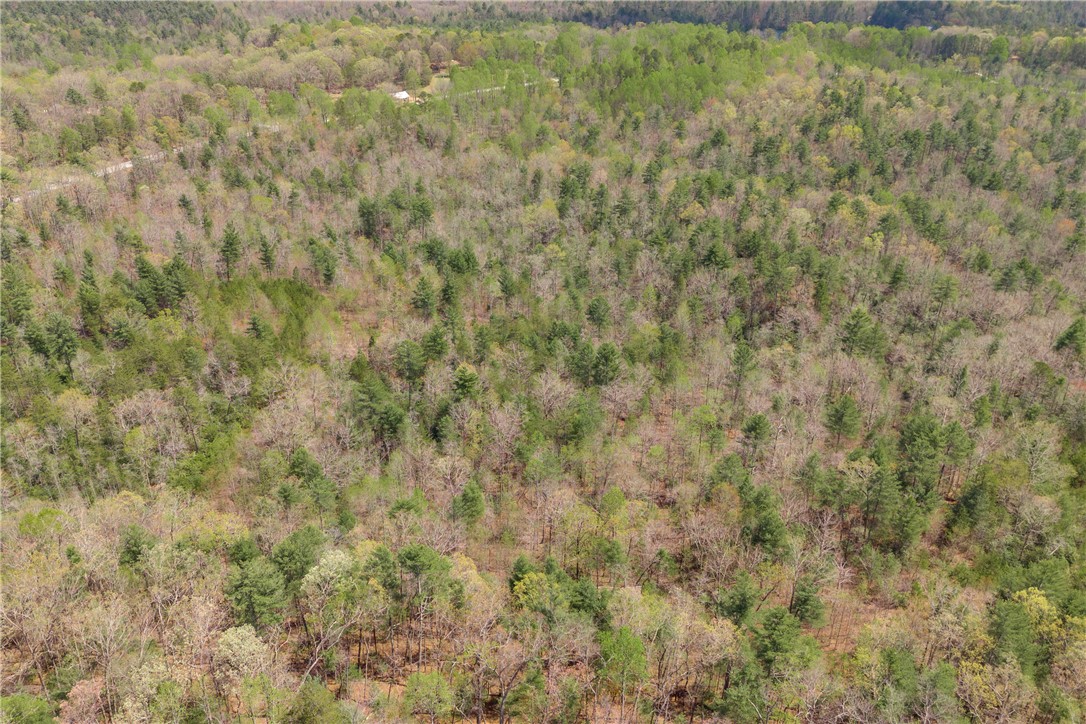 110 Mountain Rest Lake Road Mountain Rest, SC 29664 - Photo 23 of 28