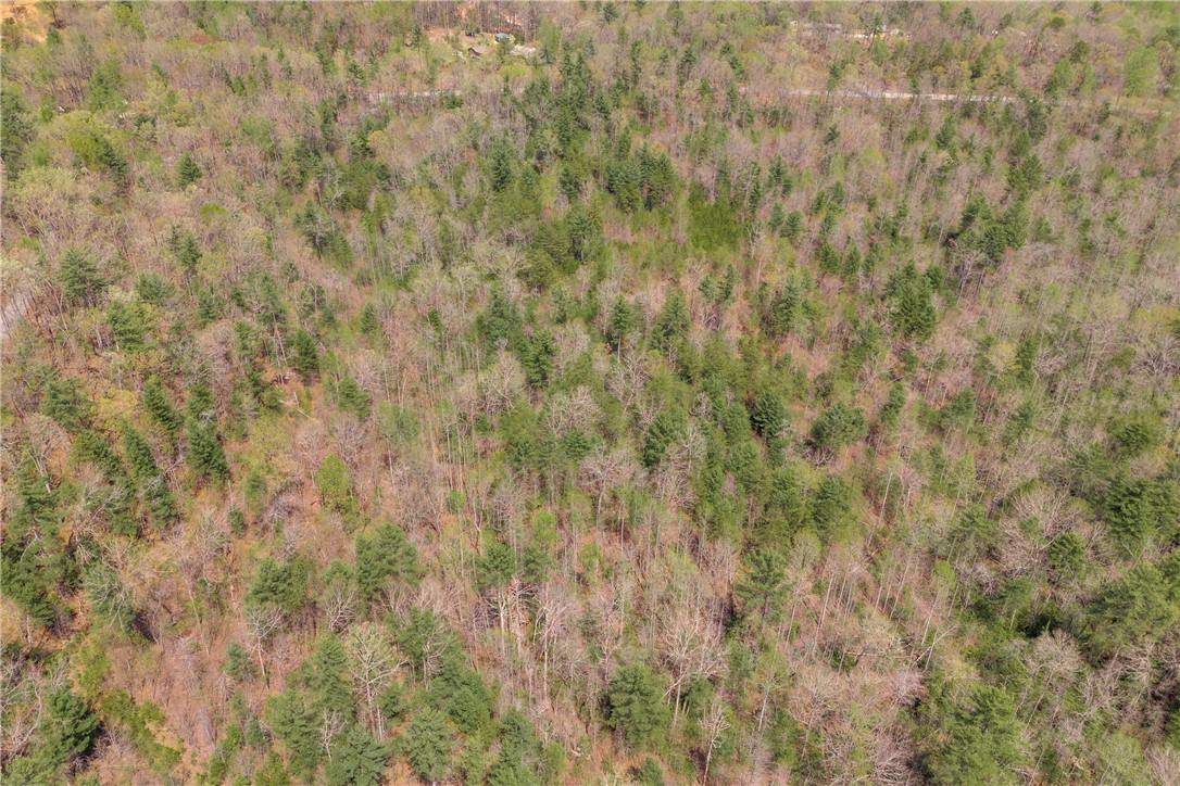 110 Mountain Rest Lake Road Mountain Rest, SC 29664 - Photo 25 of 28