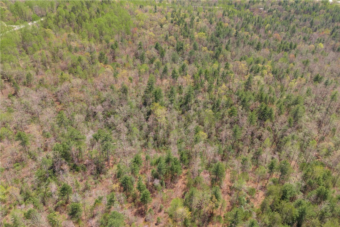 110 Mountain Rest Lake Road Mountain Rest, SC 29664 - Photo 26 of 28