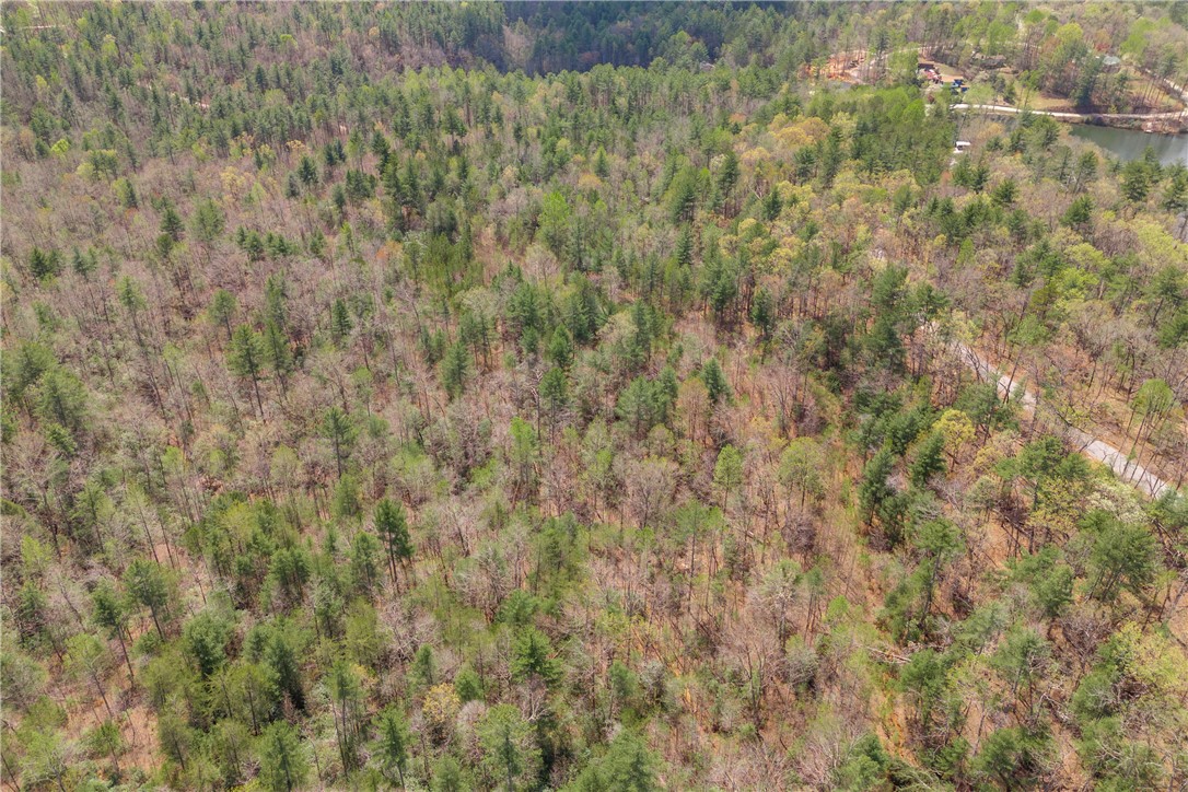 110 Mountain Rest Lake Road Mountain Rest, SC 29664 - Photo 27 of 28