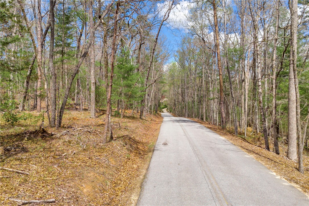 110 Mountain Rest Lake Road Mountain Rest, SC 29664 - Photo 3 of 28