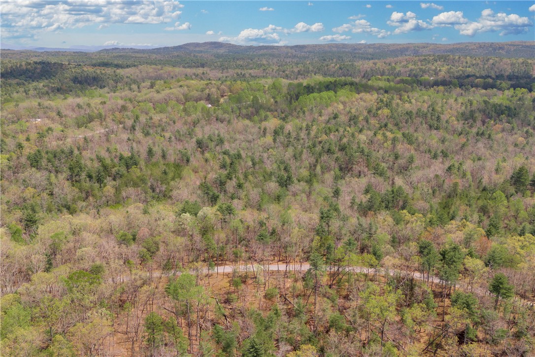 110 Mountain Rest Lake Road Mountain Rest, SC 29664 - Photo 6 of 28