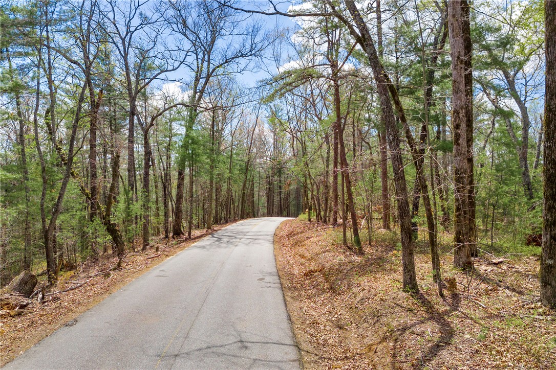 110 Mountain Rest Lake Road Mountain Rest, SC 29664 - Photo 9 of 28