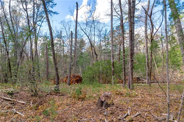 $168,000 | 110 Mountain Rest Lake Road, Mountain Rest, SC 29664