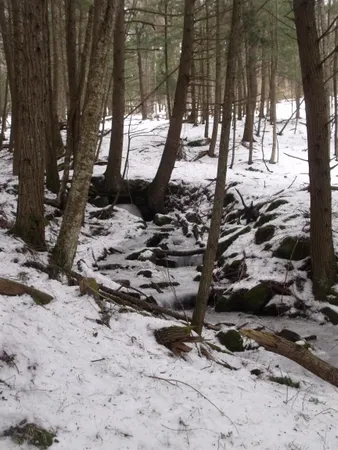 $275,000 | 3186 S Road, Woodstock, VT 05091