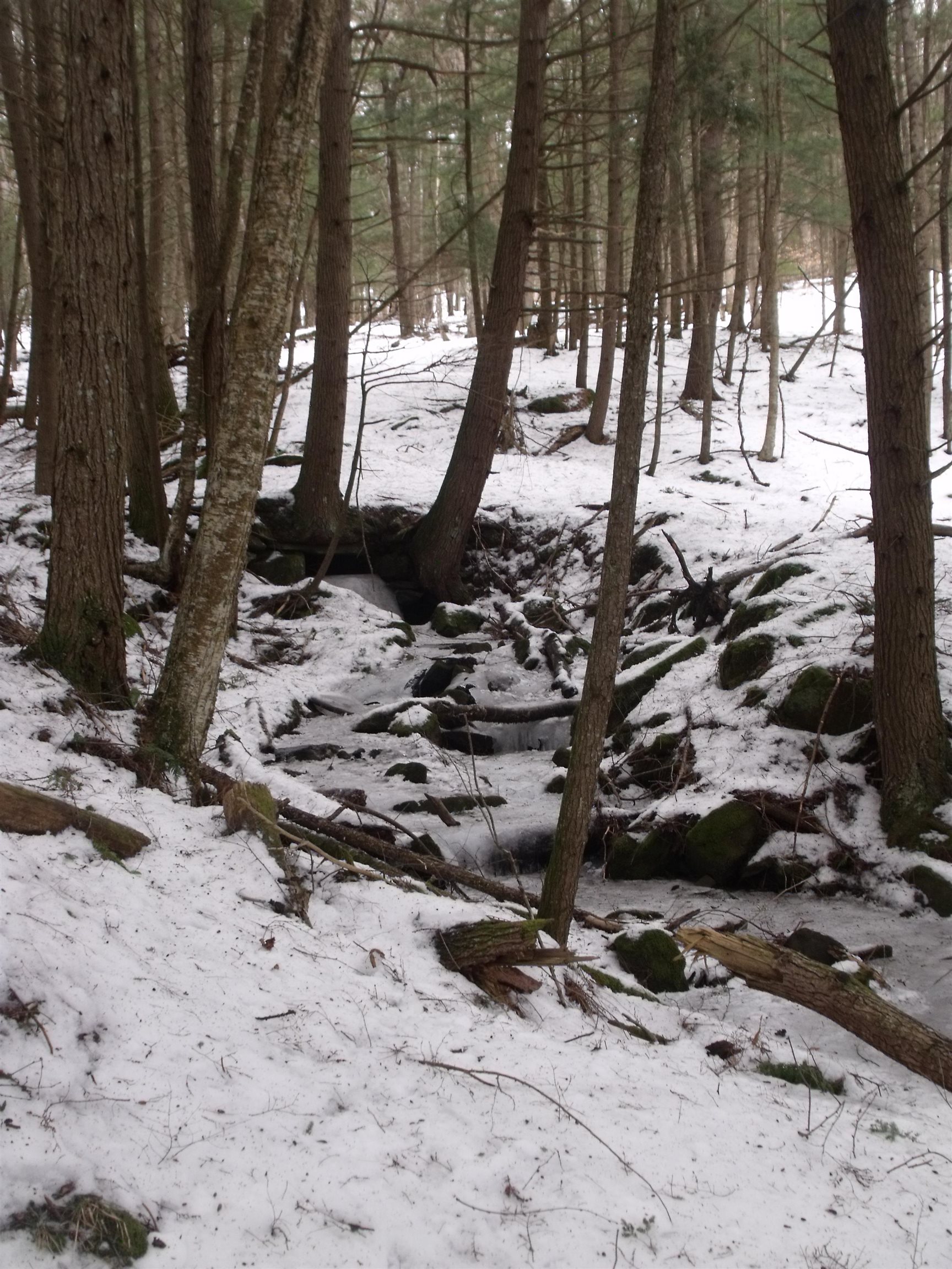 3186 S Road Woodstock, VT 05091 - Photo 13 of 18