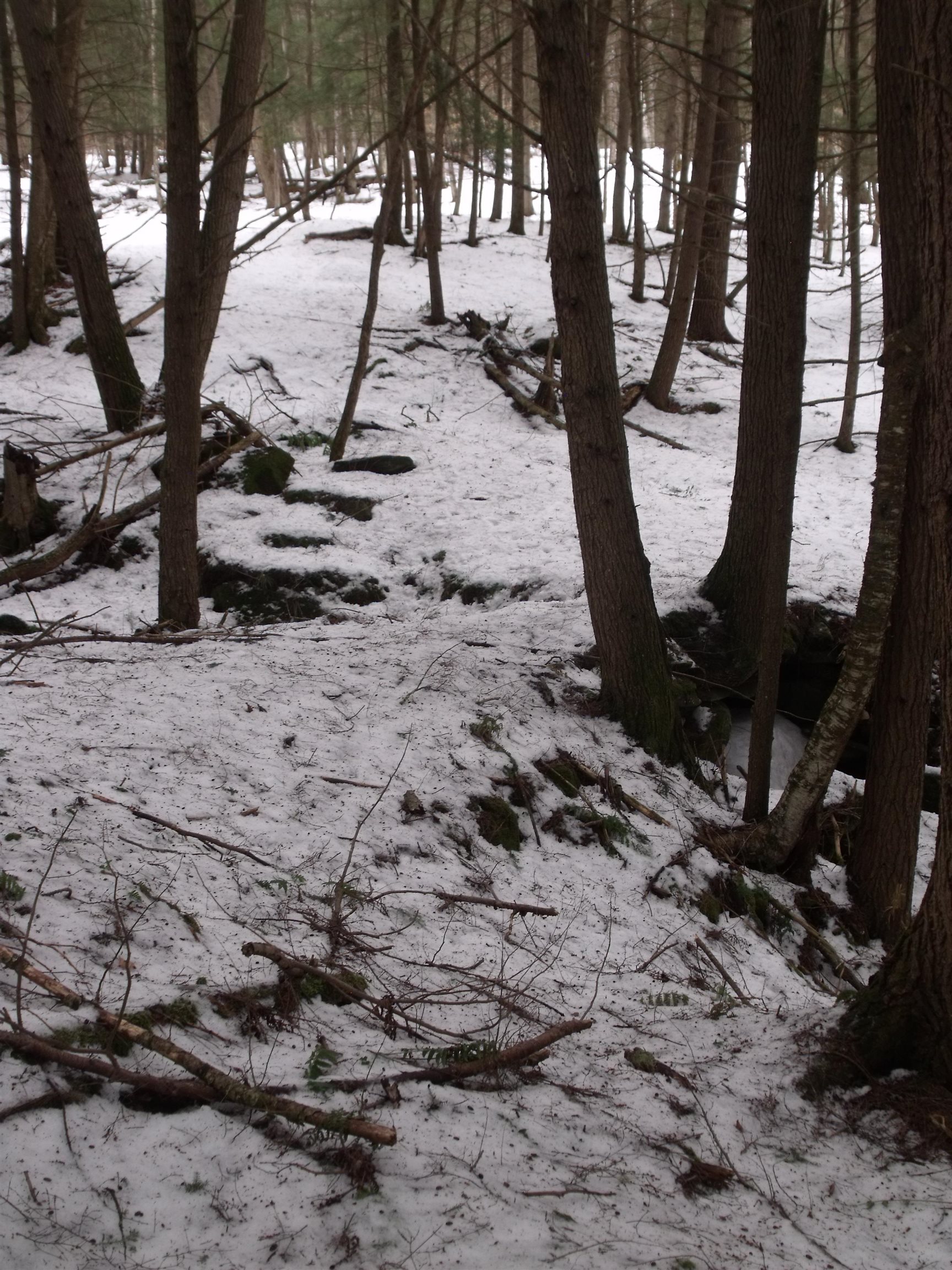 3186 S Road Woodstock, VT 05091 - Photo 14 of 18