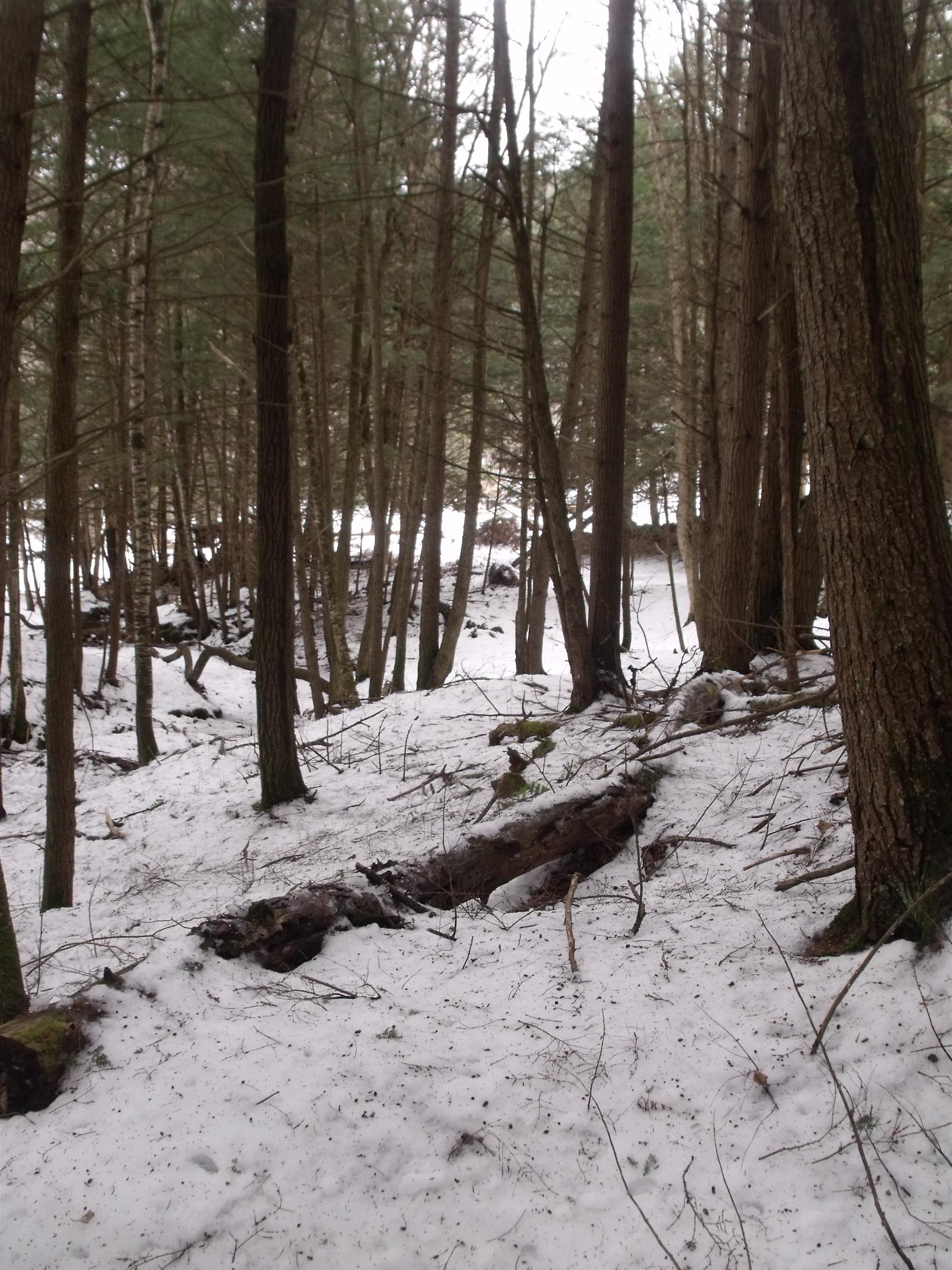 3186 S Road Woodstock, VT 05091 - Photo 17 of 18