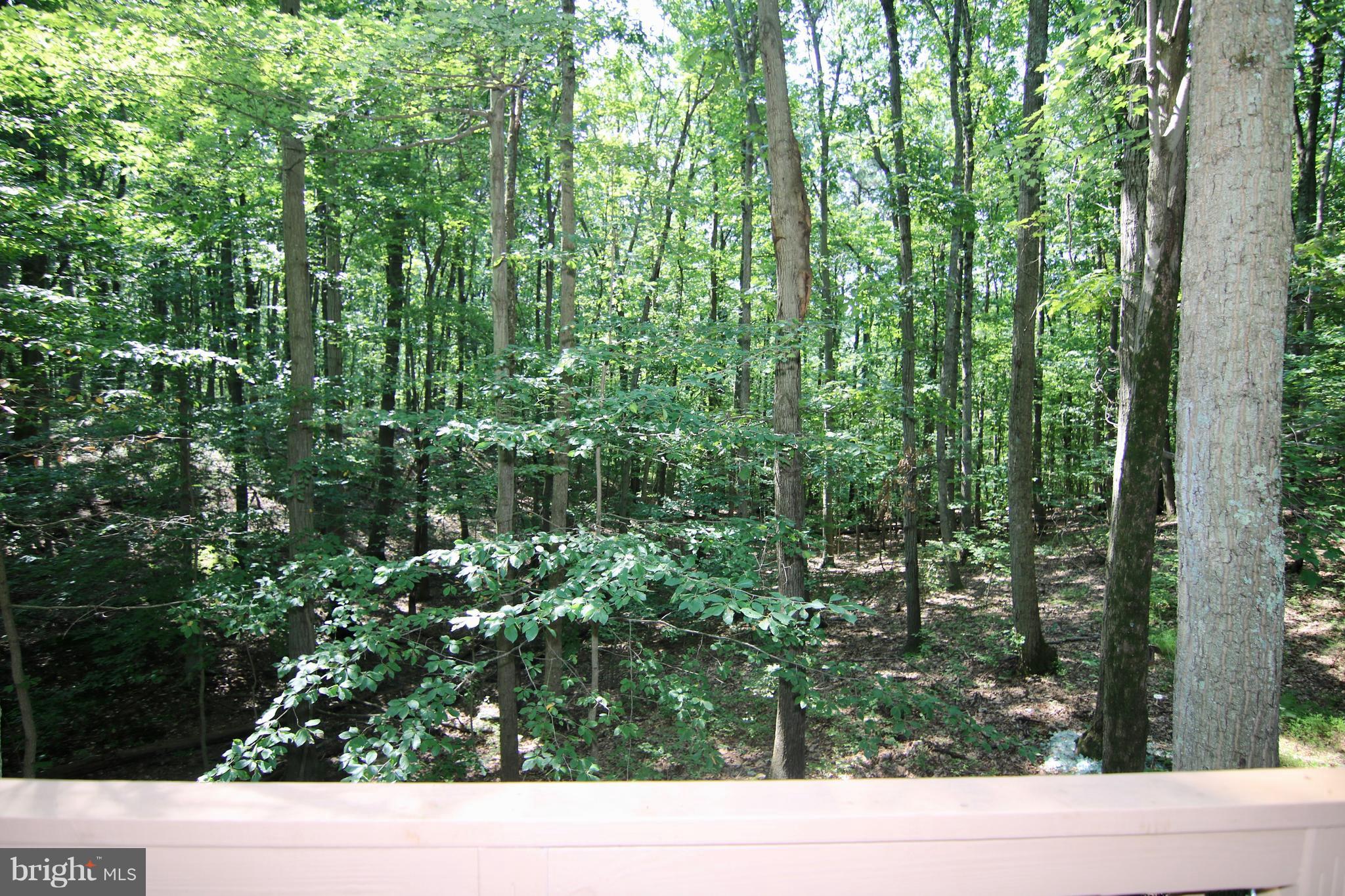 1373 Dicus Mill Road Severn, MD 21144 - Photo 9 of 30 View