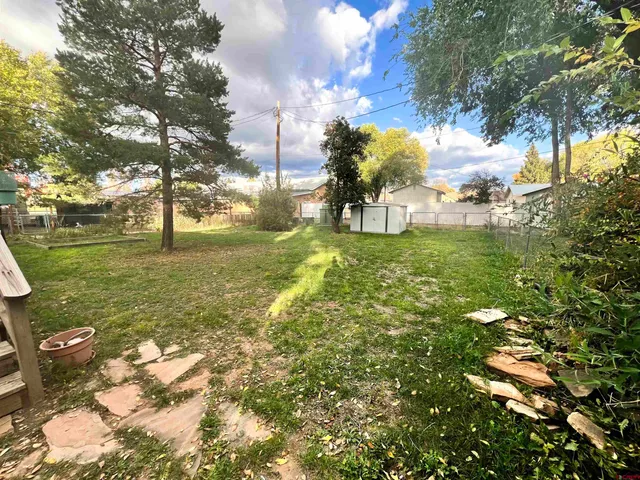 a view of a field with a tree