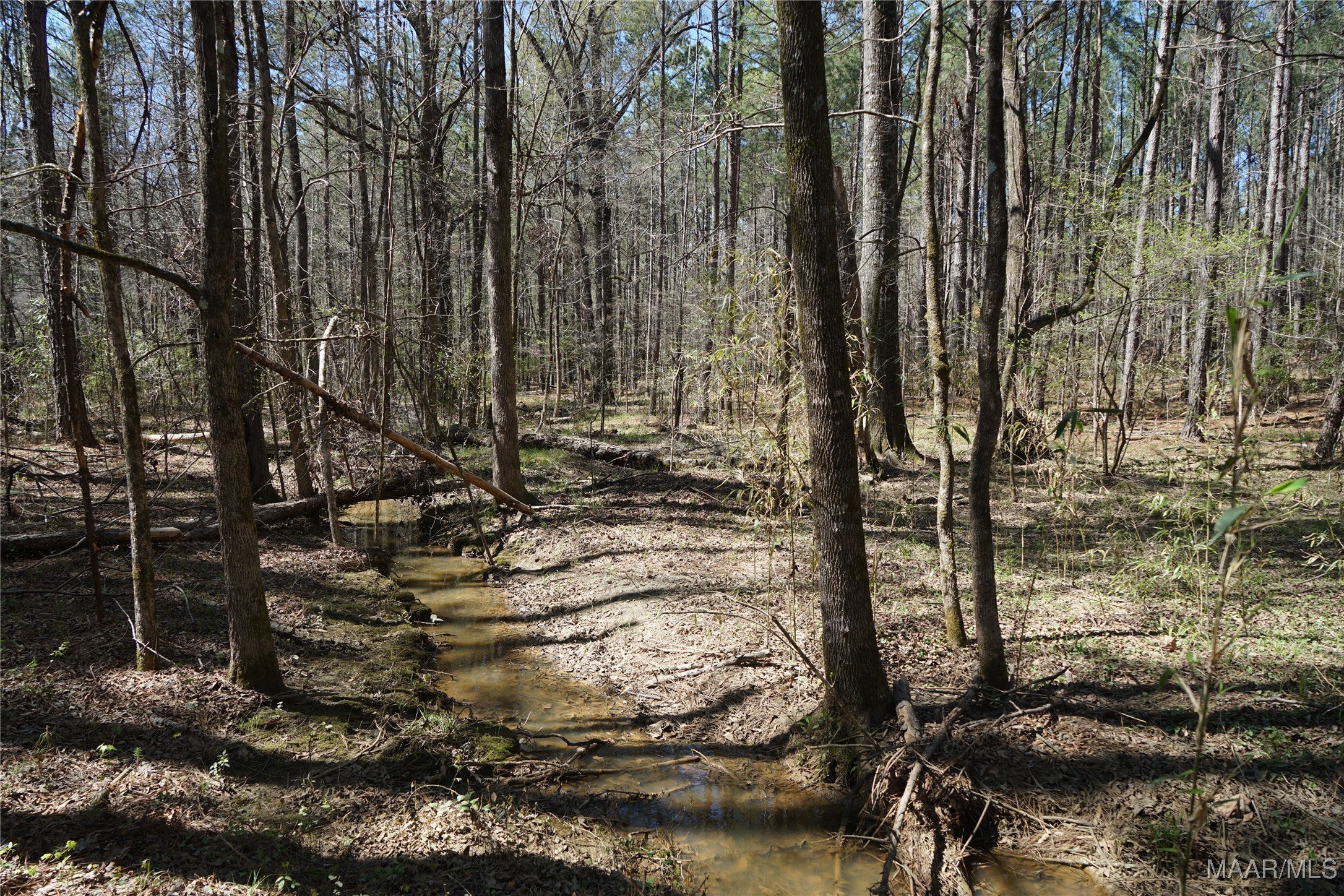 831 Old Barnes Road Mathews, AL 36052 - Photo 5 of 13 Gallery Image 5