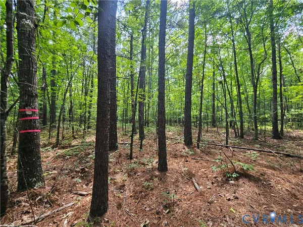 $389,900 | 4809 West James Anderson Highway, Gladstone, VA 24553