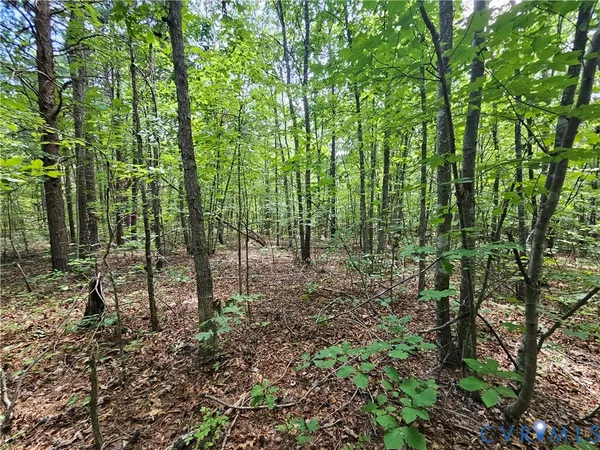 $389,900 | 4809 West James Anderson Highway, Gladstone, VA 24553