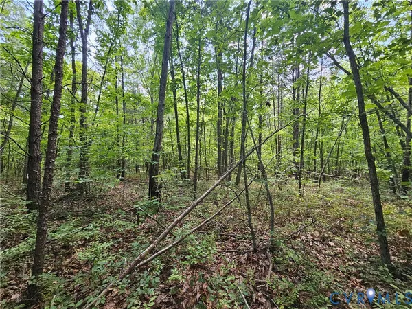 $389,900 | 4809 West James Anderson Highway, Gladstone, VA 24553