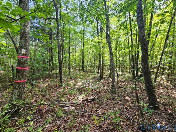 $389,900 | 4809 West James Anderson Highway, Gladstone, VA 24553