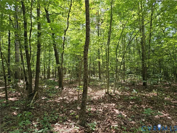 $389,900 | 4809 West James Anderson Highway, Gladstone, VA 24553