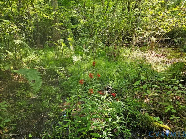 $389,900 | 4809 West James Anderson Highway, Gladstone, VA 24553