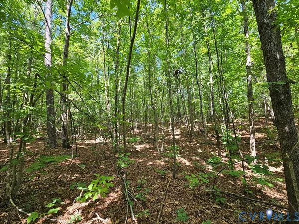 $389,900 | 4809 West James Anderson Highway, Gladstone, VA 24553