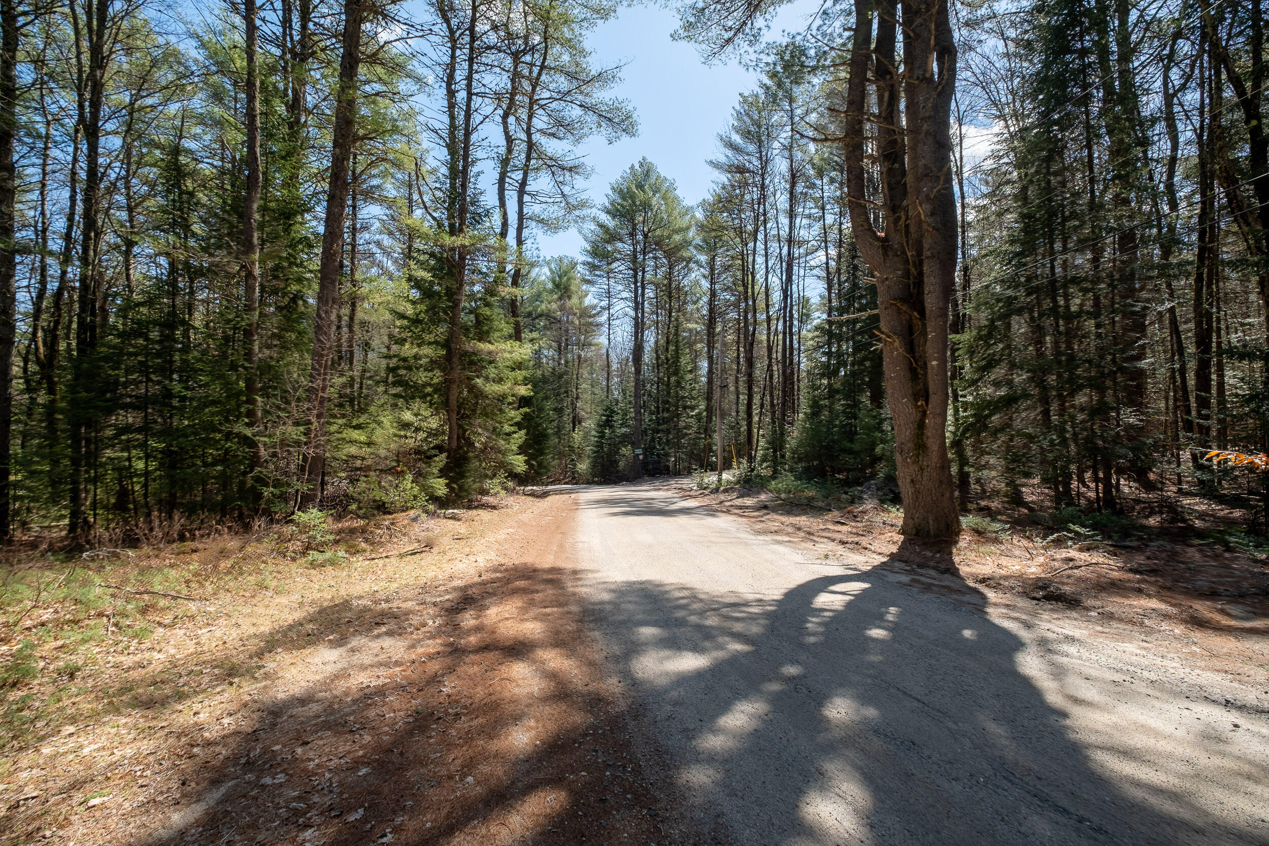 Lot 3 Big Woods Road Harrison, ME 04040 - Photo 7 of 26 Lot 3 Big Woods Rd_Harrison_05