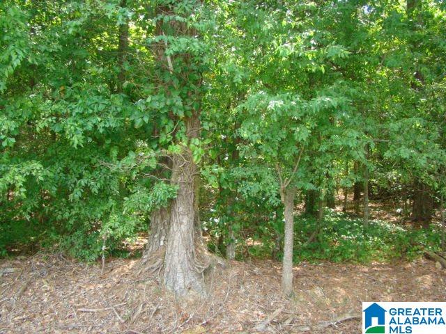 360 Gnat Valley Road, Unit 1 Anniston, AL 36207 - Photo 1 of 5