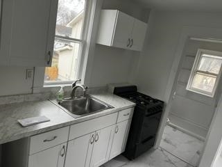 166 Rochelle Avenue, Unit 2 Rochelle Park, NJ 07662 - Photo 2 of 8 a kitchen with a sink and cabinets