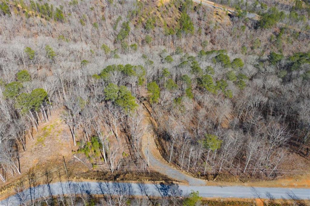 285 Anglers Ridge Road Talking Rock, GA 30175 - Photo 12 of 31 a view of a plant in a garden