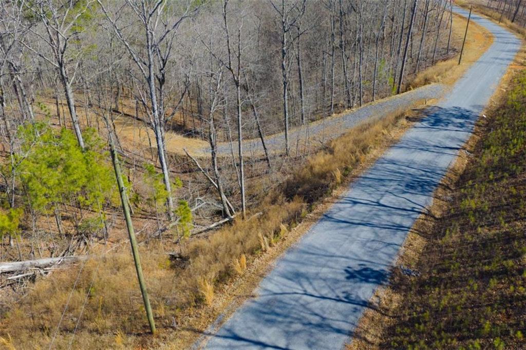 285 Anglers Ridge Road Talking Rock, GA 30175 - Photo 17 of 31 a view of a yard with large trees