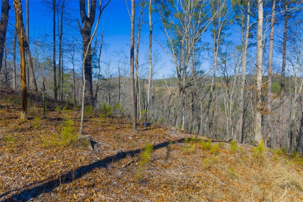 285 Anglers Ridge Road Talking Rock, GA 30175 - Photo 20 of 31 a backyard of a house with a trees