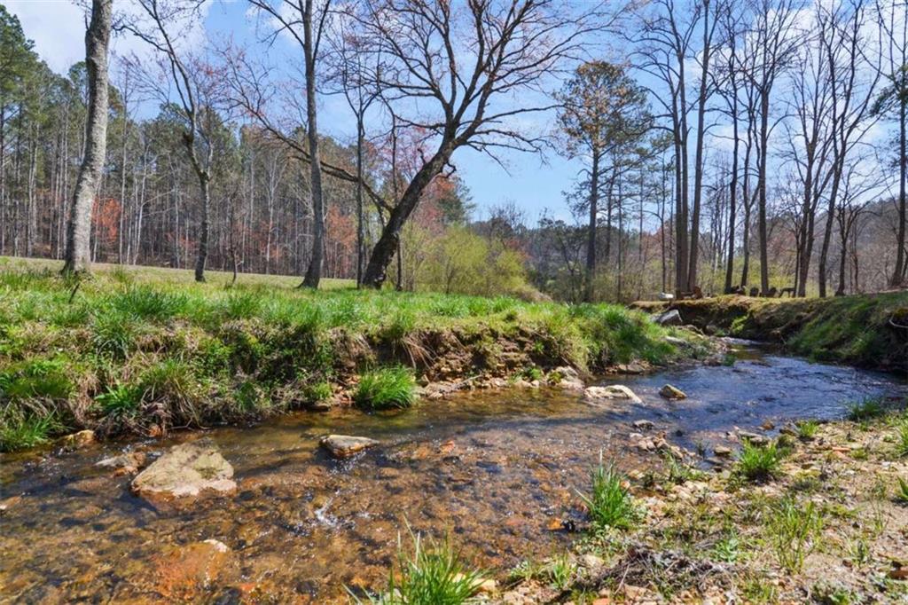 285 Anglers Ridge Road Talking Rock, GA 30175 - Photo 27 of 31 a view of a yard covered with trees