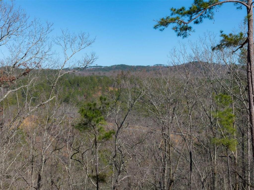 285 Anglers Ridge Road Talking Rock, GA 30175 - Photo 8 of 31 a view of a yard with a tree