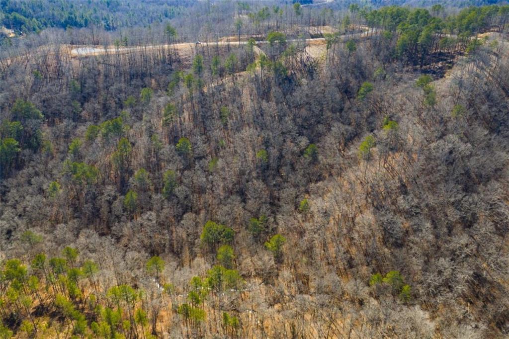 285 Anglers Ridge Road Talking Rock, GA 30175 - Photo 9 of 31 a view of a lake with lots of trees