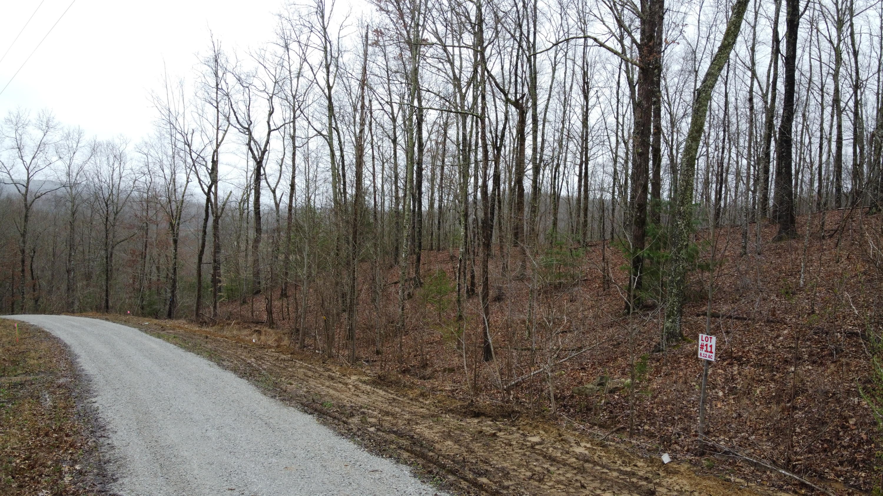 Park Road Huntsville, TN 37756 - Photo 3 of 6 DJI_0192