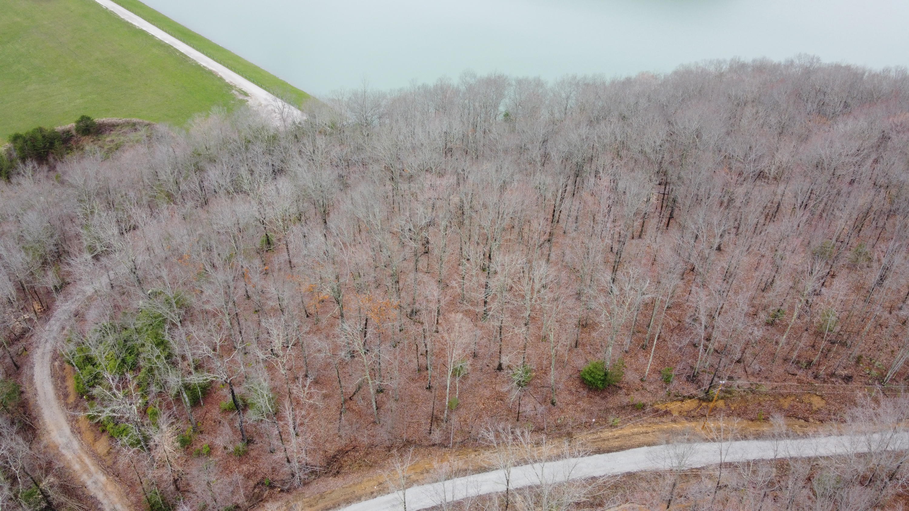 Park Road Huntsville, TN 37756 - Photo 4 of 6 DJI_0195