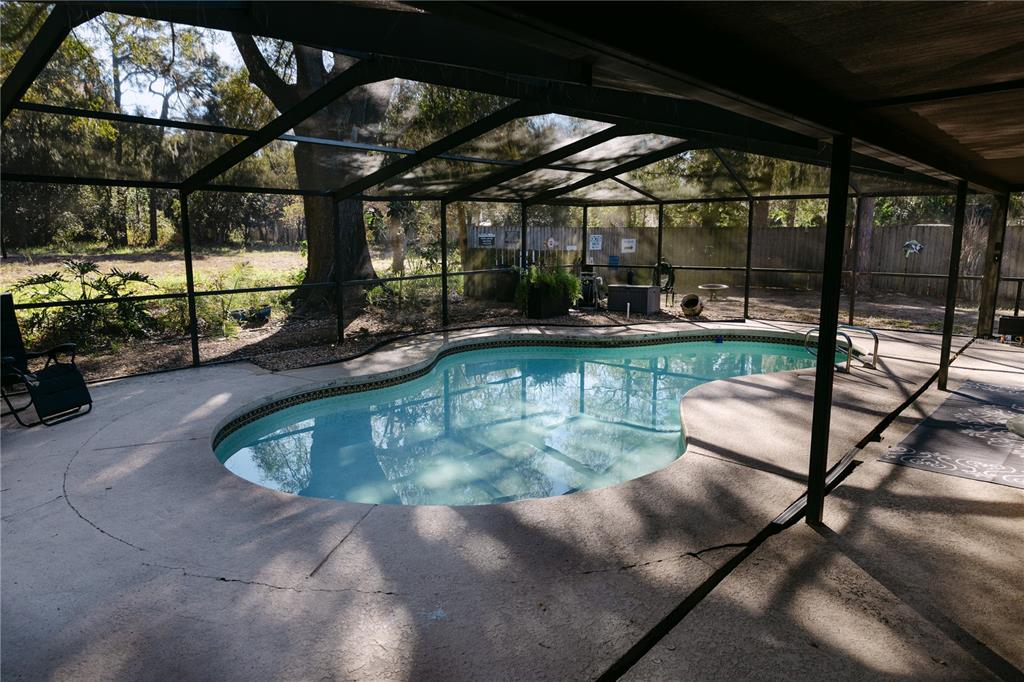18305 Oakdale Road Odessa, FL 33556 - Photo 6 of 42 a view of a swimming pool with a patio