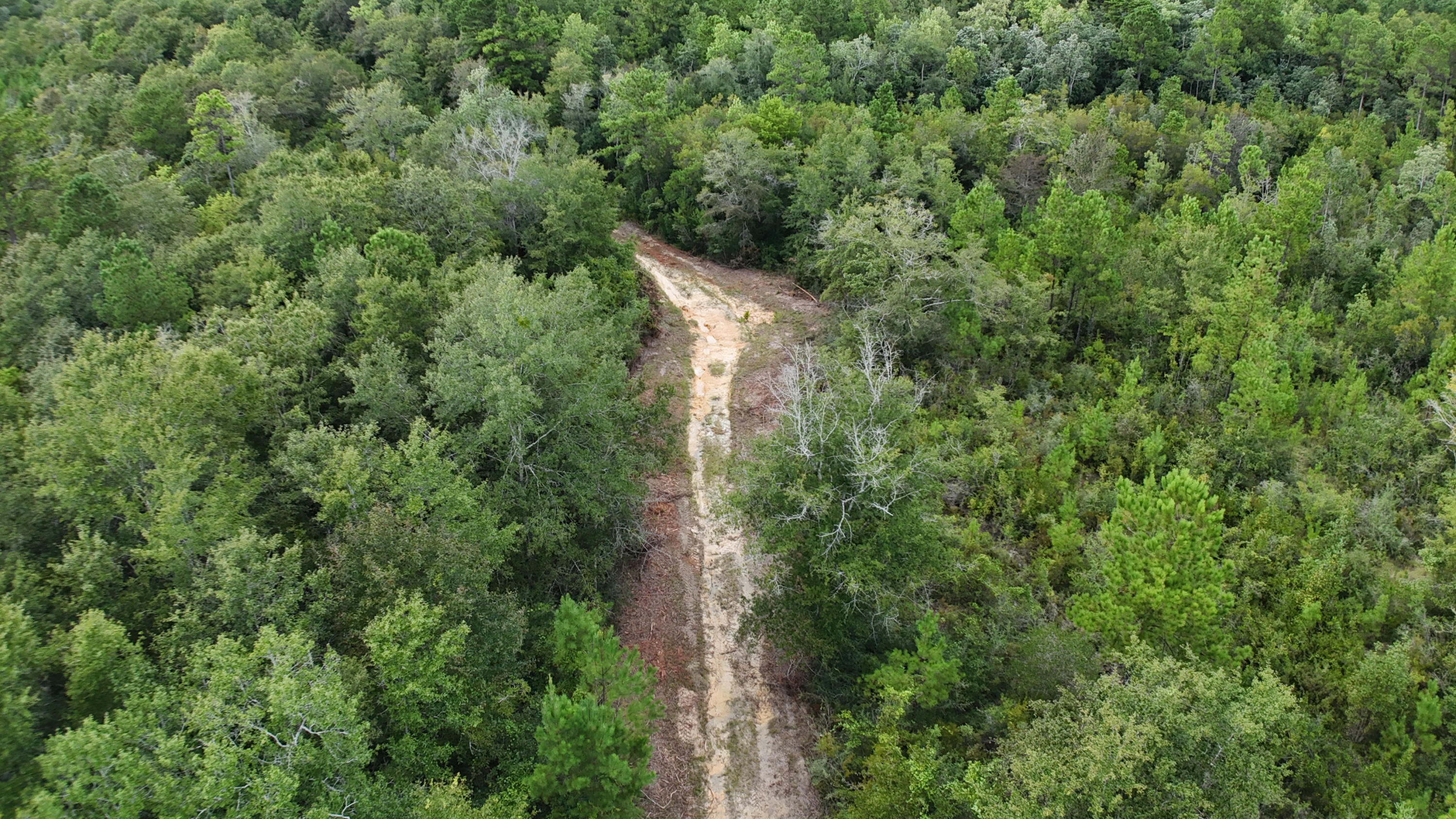 150-ac Richardson Road Crestview, FL 32539 - Photo 4 of 11 an aerial view of residential house with outdoor space and trees all around