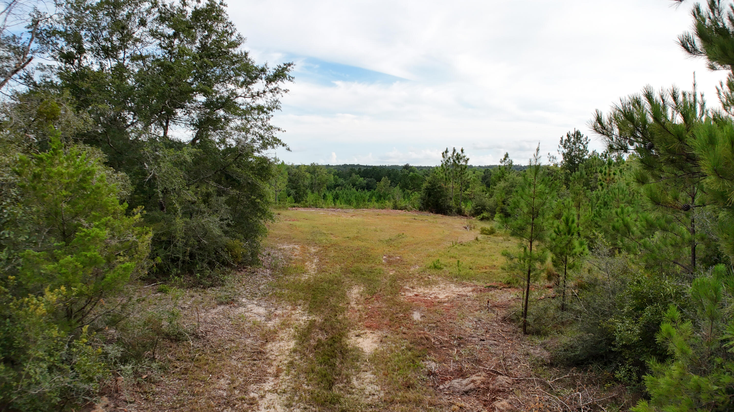 150-ac Richardson Road Crestview, FL 32539 - Photo 7 of 11 a view of a field with trees in the background